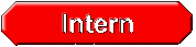 Intern